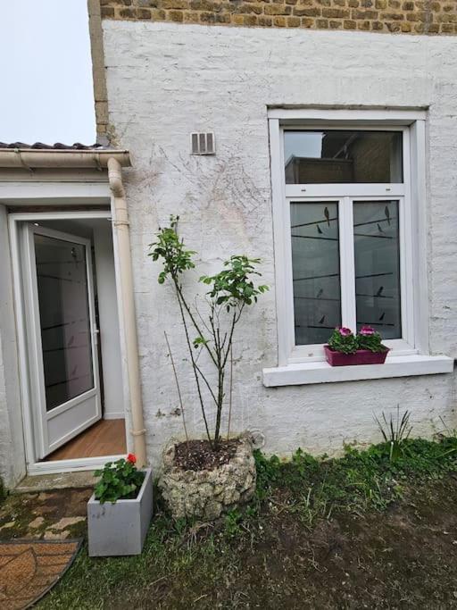 Studio Avec Jardin Rosendael Proche Plage Dunkirk Bagian luar foto